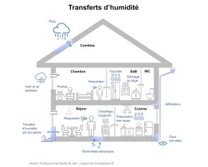 Transfert d'humidité