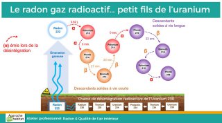 Chaine de désintégration de l'uranium 238